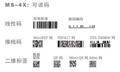 ms-4.jpg